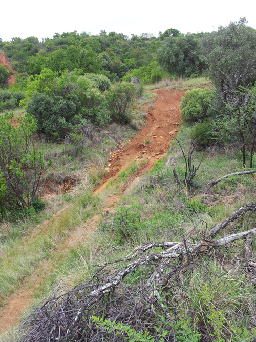 One of the ruts.