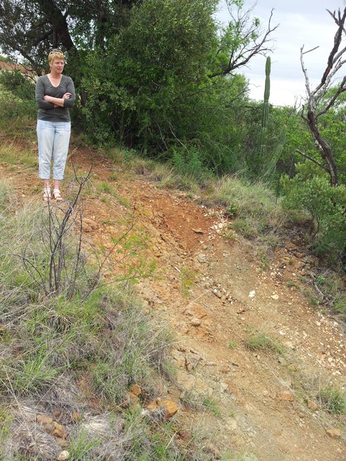 SWABO at the western side of the track.