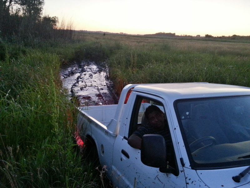 20121117_185554_HDR.jpg