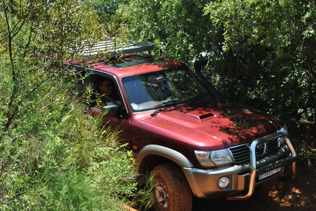 Agarob in the mud and bush