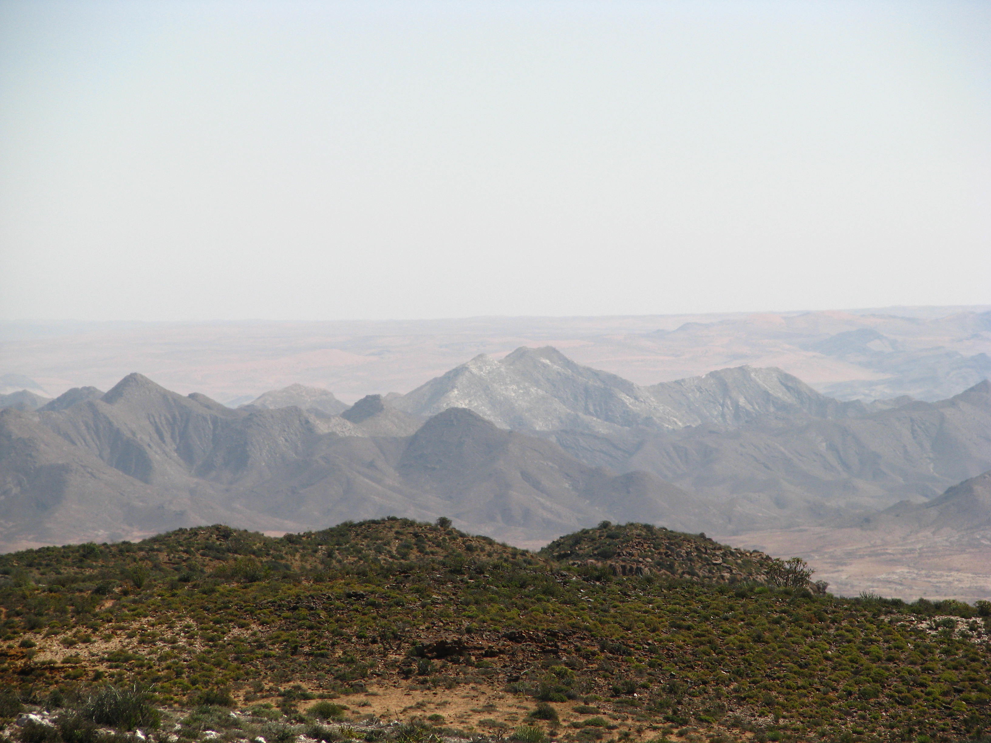 IMG_6947.JPG