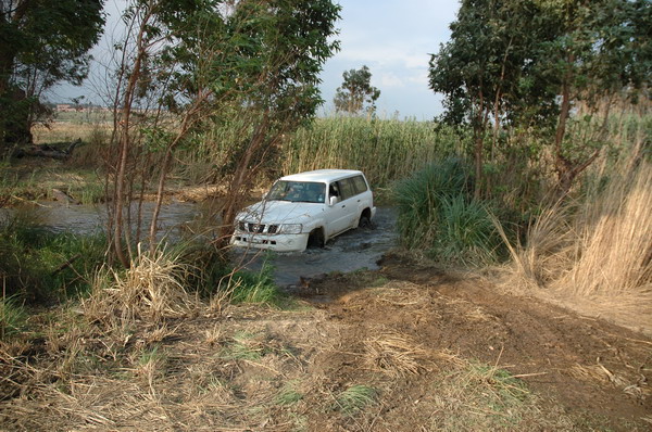DSC_3366.JPG