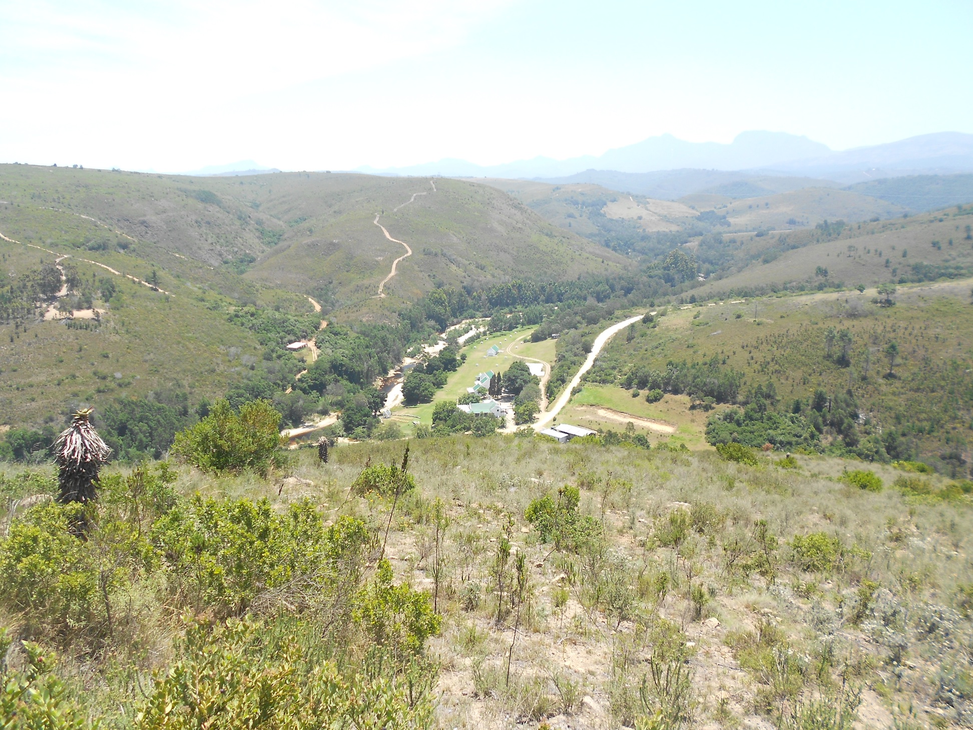 6ViewfromMoordkuylKoppie.JPG