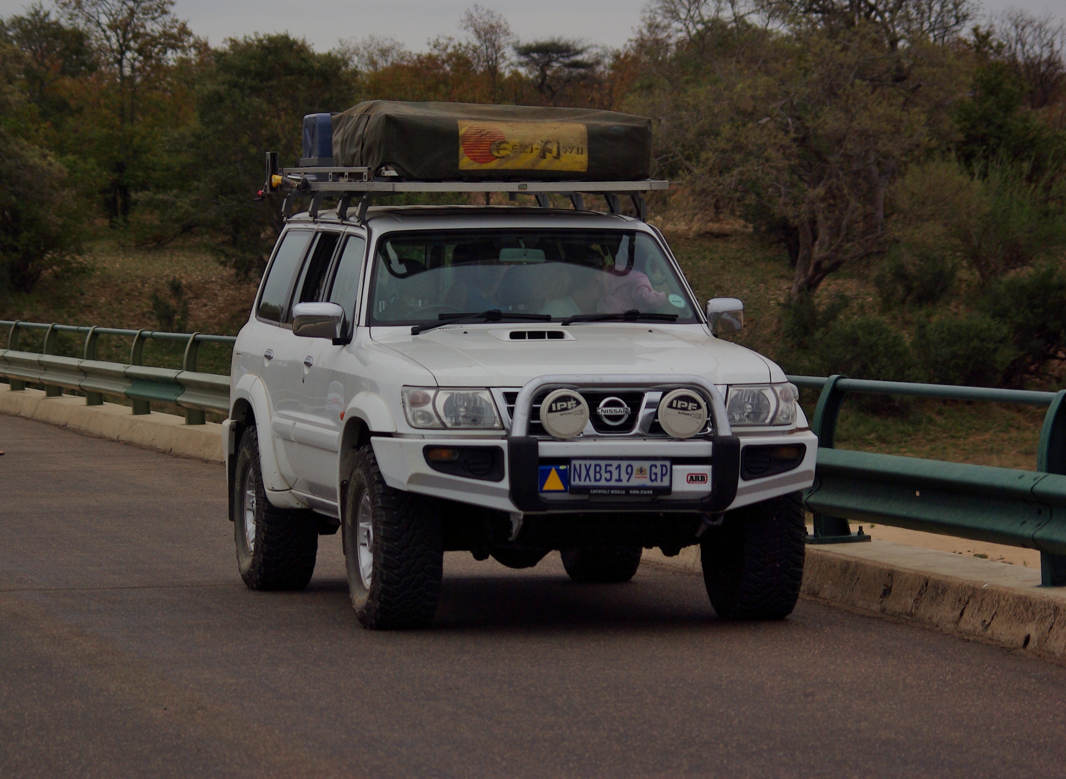 Kruger Sept 2012 261 (2).jpg