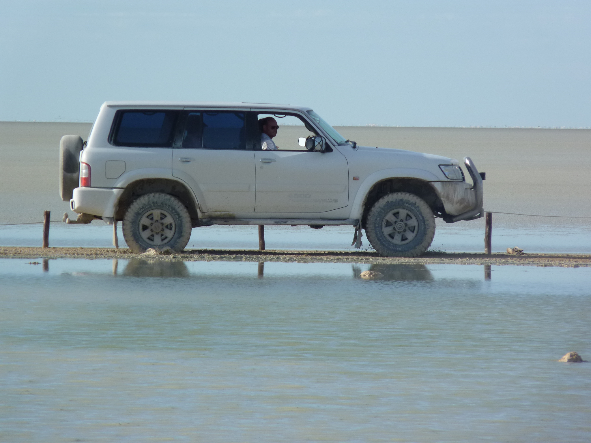 Etosha Desember 2011.JPG