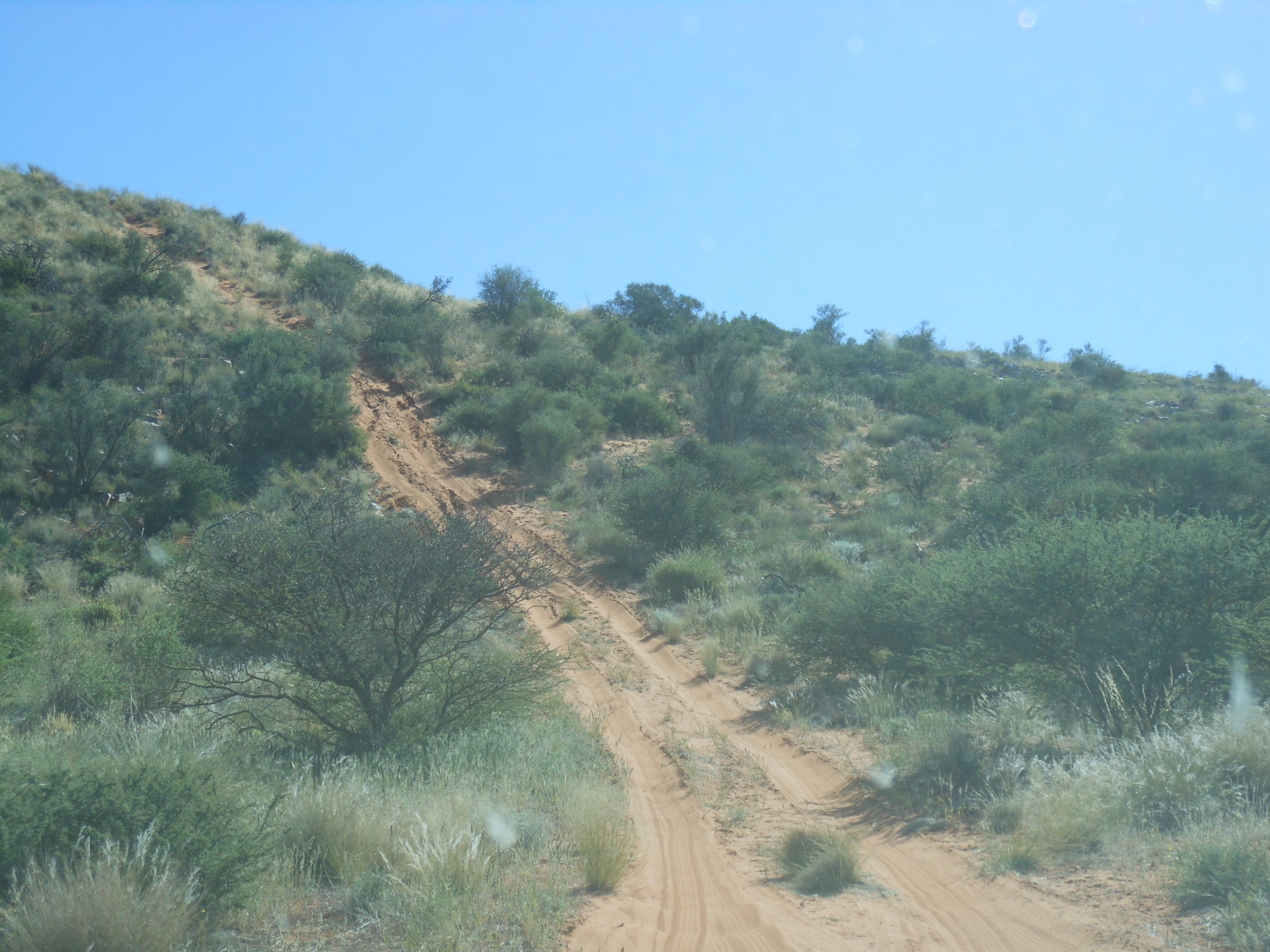 DSCN0971.JPG