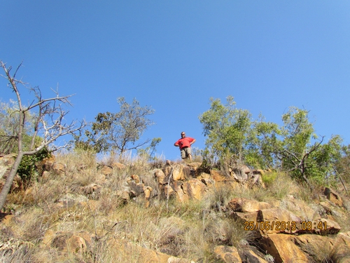 Andre ... like the lion king....or the Leeuloop...hahaha