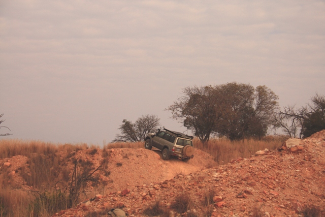 _MG_6003.jpg