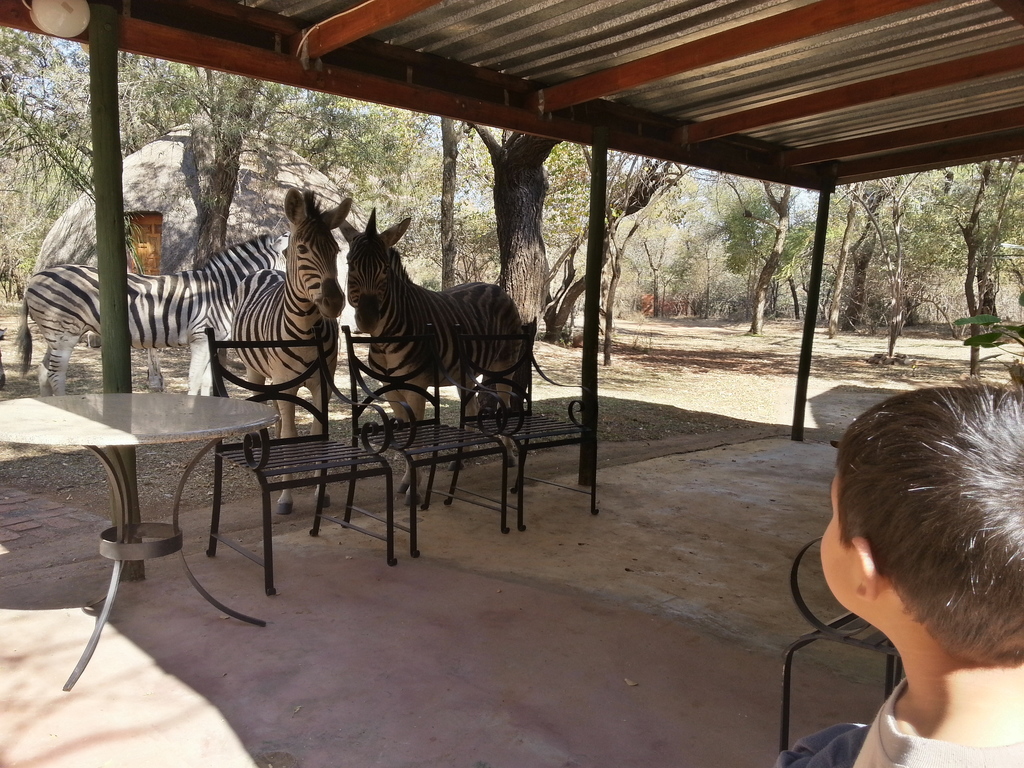 Visitors