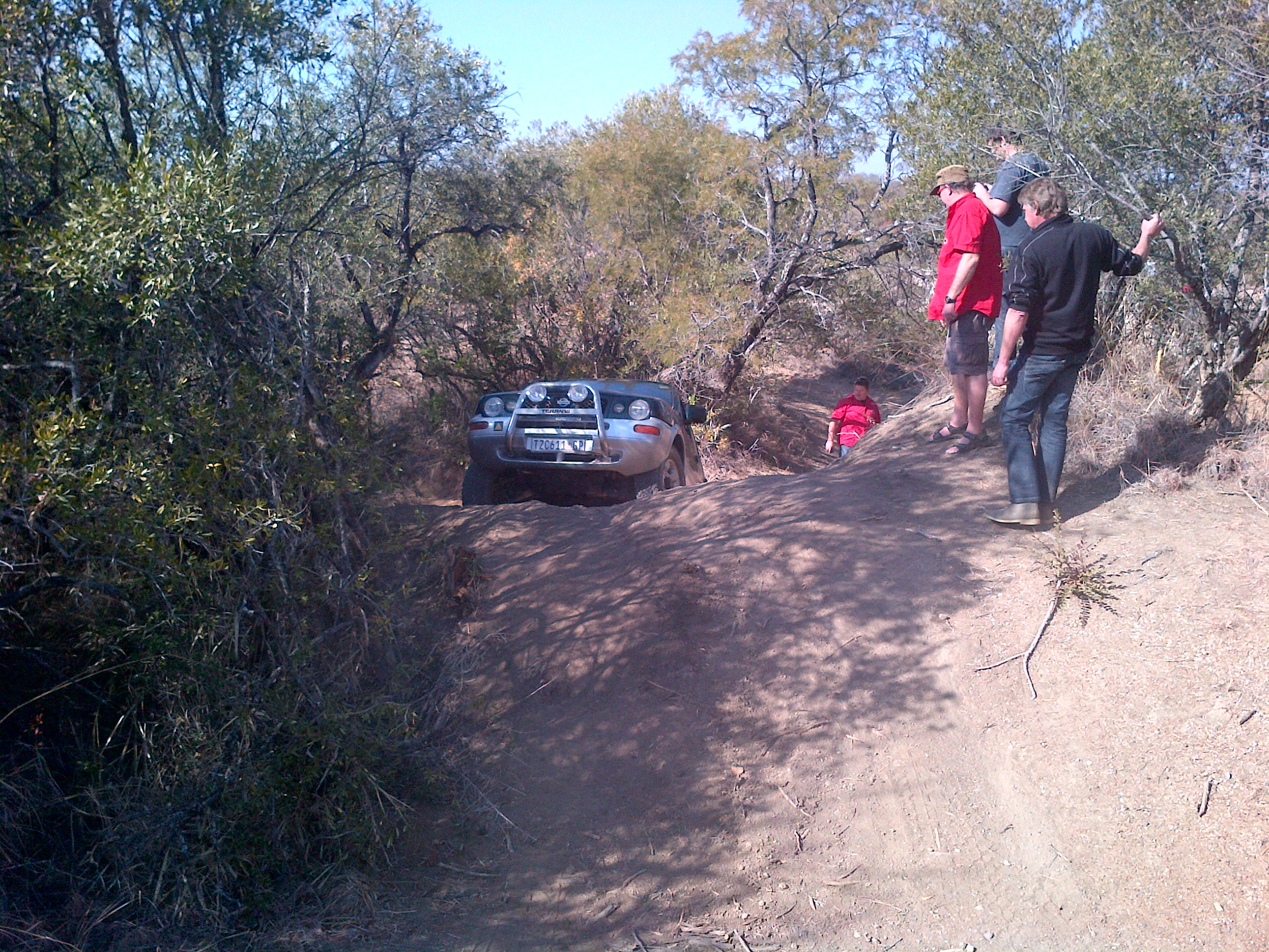 Terrano stood its ground