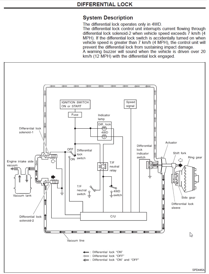 dl3.jpg