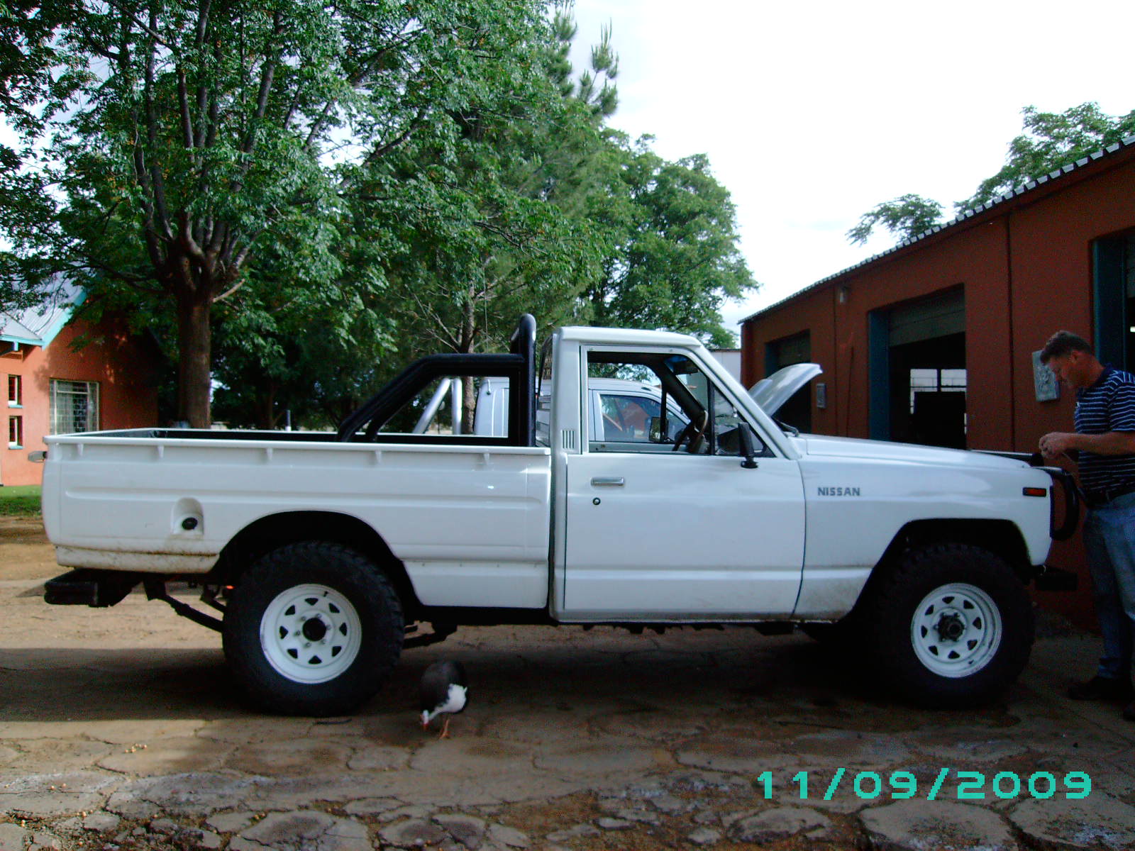Safari - side.JPG