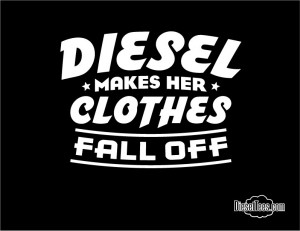 diesel-makes-her-clothes-jpeg-300x231.jpg