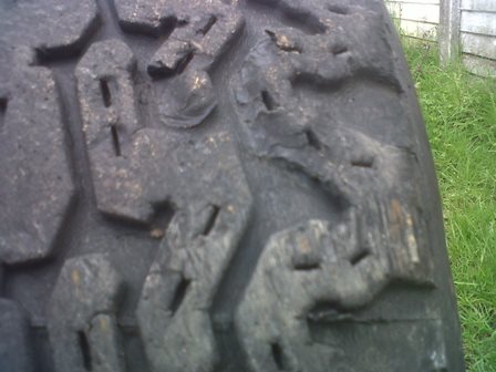 IMG00239-20131205-1344.jpg