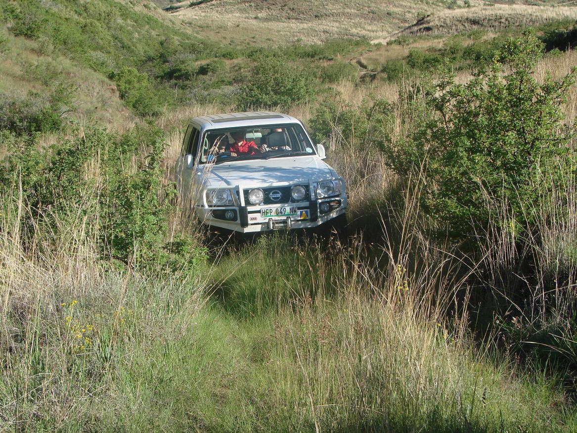 DSC04662.JPG