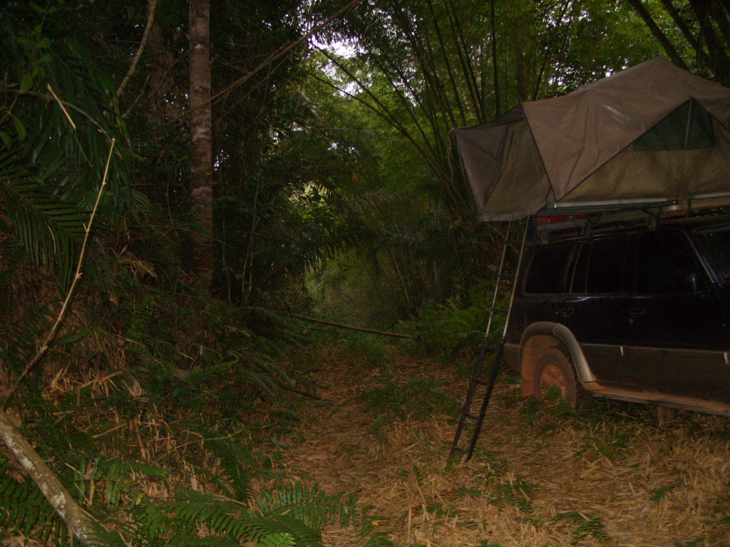 Typical bush camp in Jungle