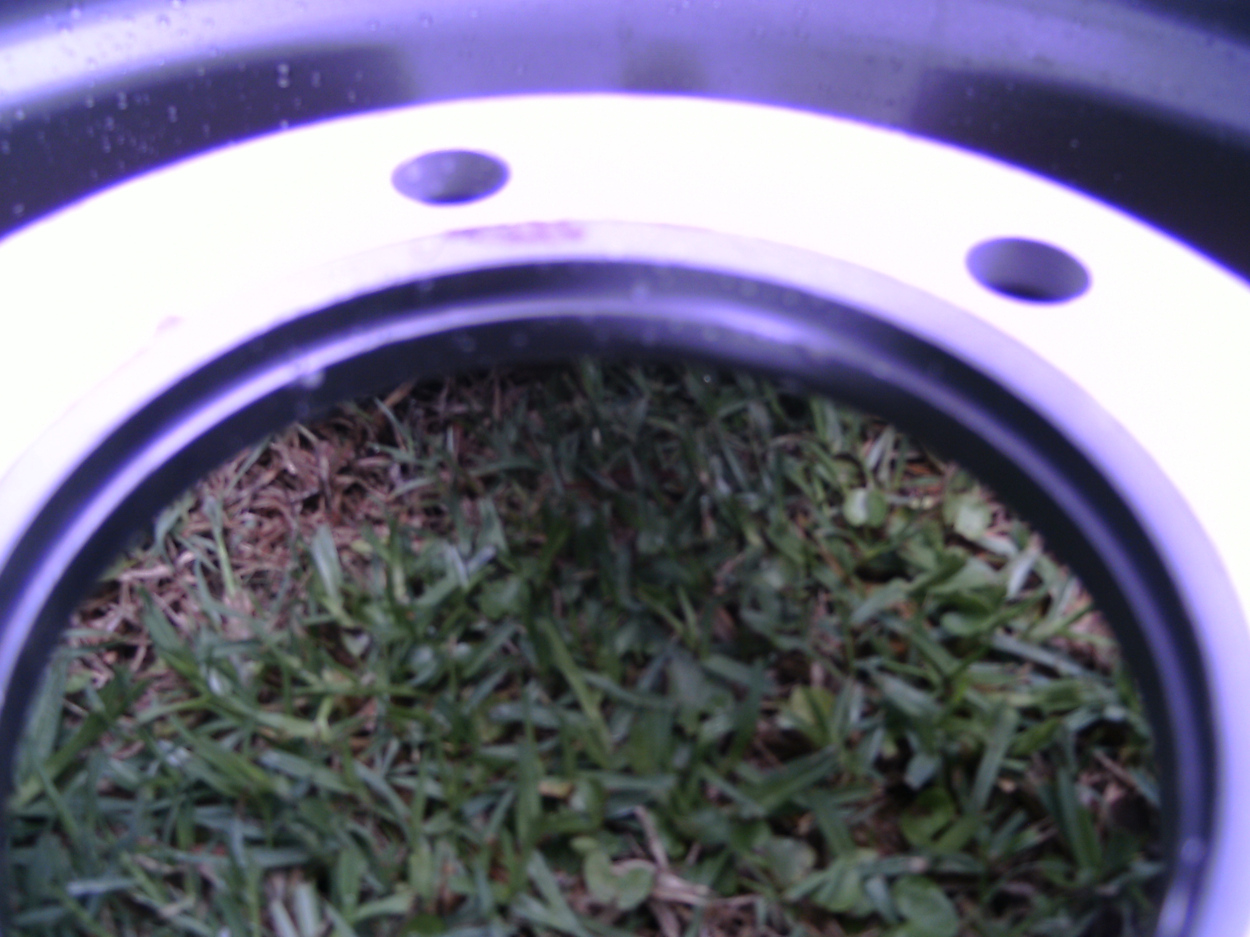 PICT1313.JPG