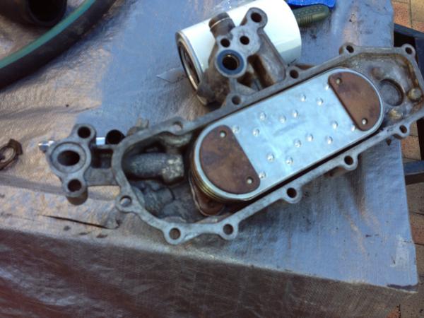 oil cooler1.jpg