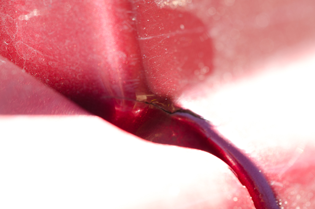 cracks-8231.jpg
