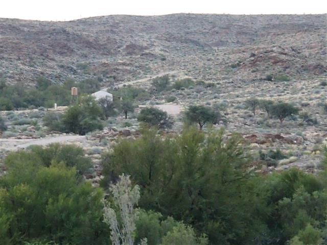 P4201081 (Small).JPG