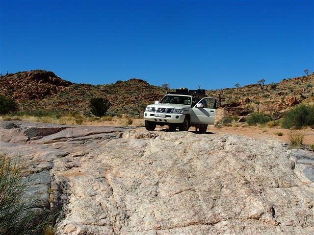 P4291359 (Small).JPG