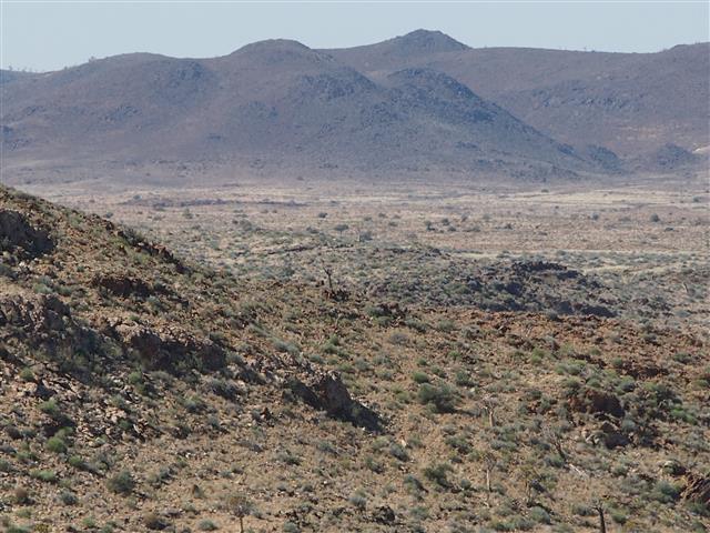 P5031388 (Small).JPG