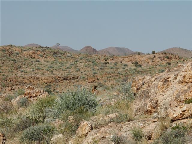 P5031396 (Small).JPG