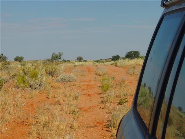 P5031430 (Small).JPG