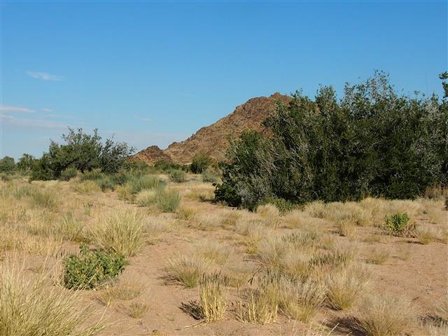 P5031436 (Small).JPG