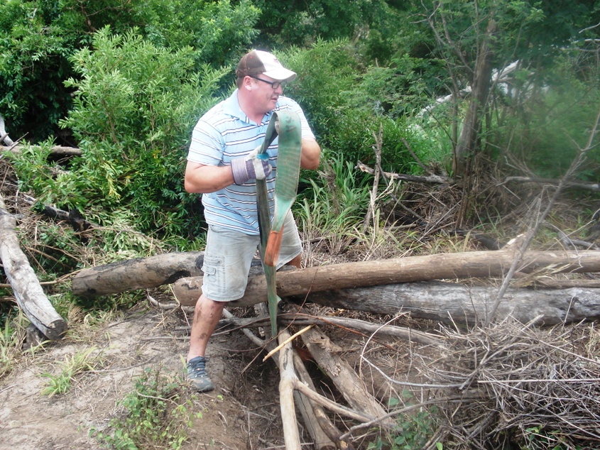 Rigging the recovery ropes around the logs