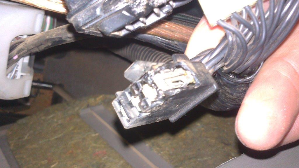 ADSC_0821.jpg