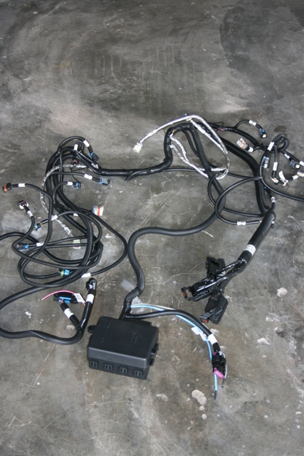 Wiring Harness.jpg
