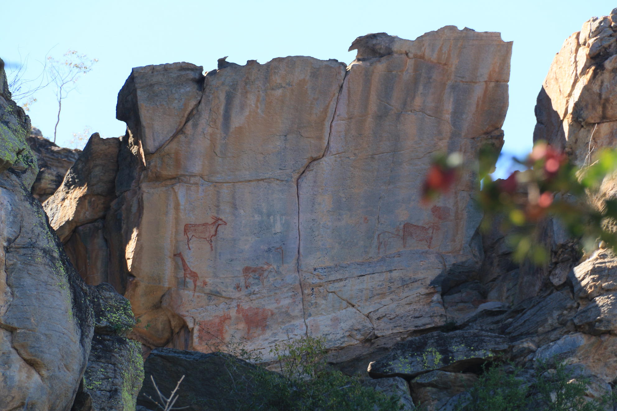 Rock art at Tsodilo Hills