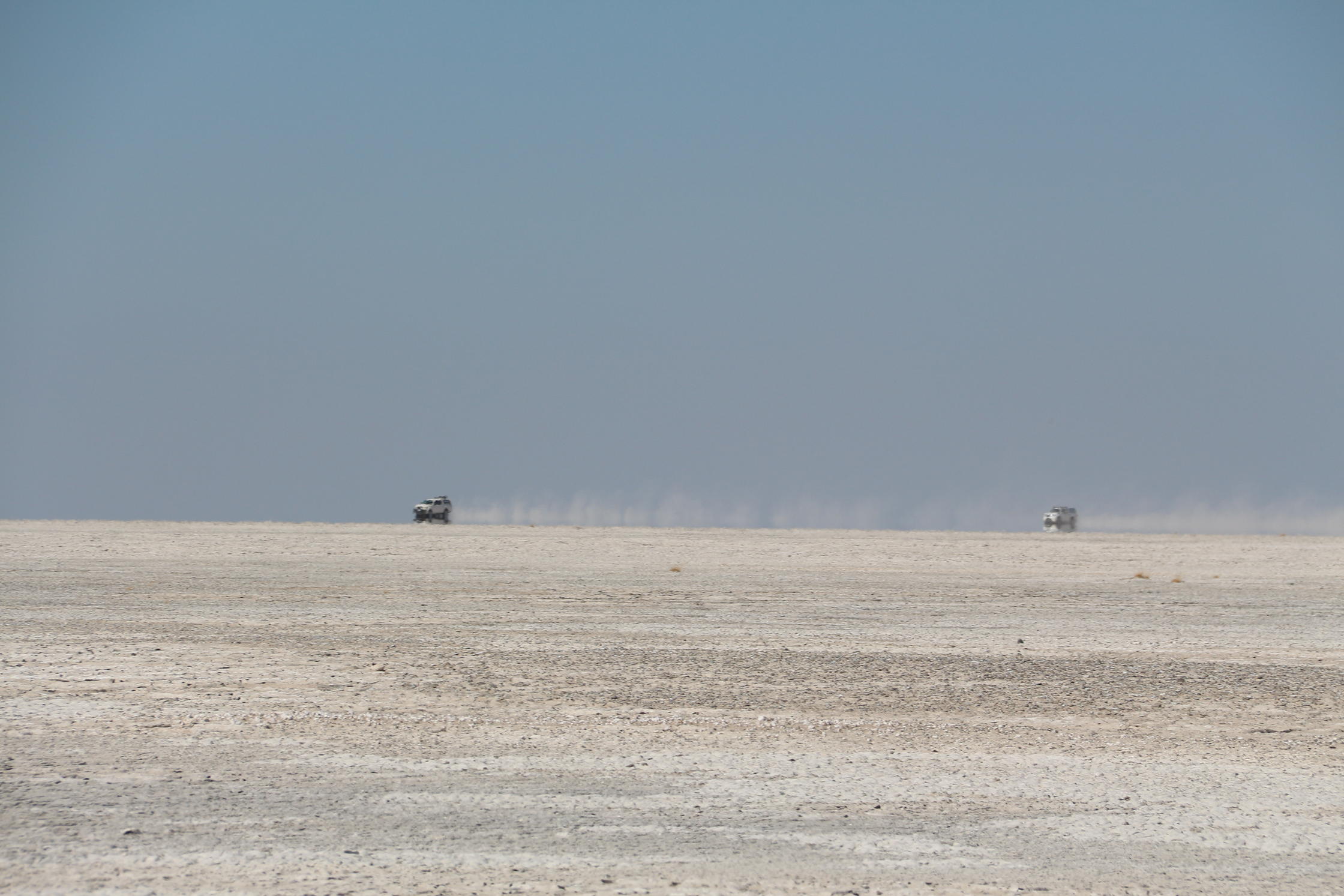 Lots 'n lots of dust!