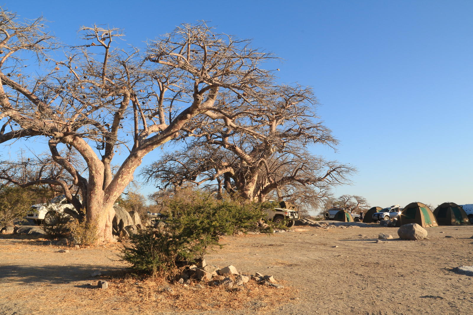 Kubu campsite