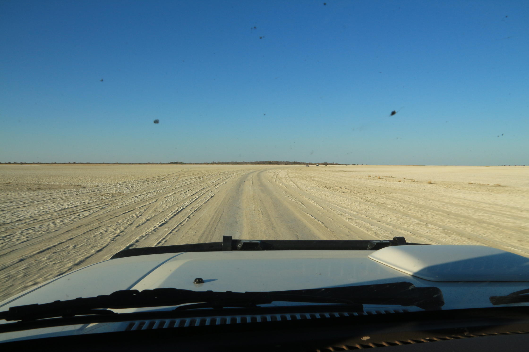 Driving on the pans