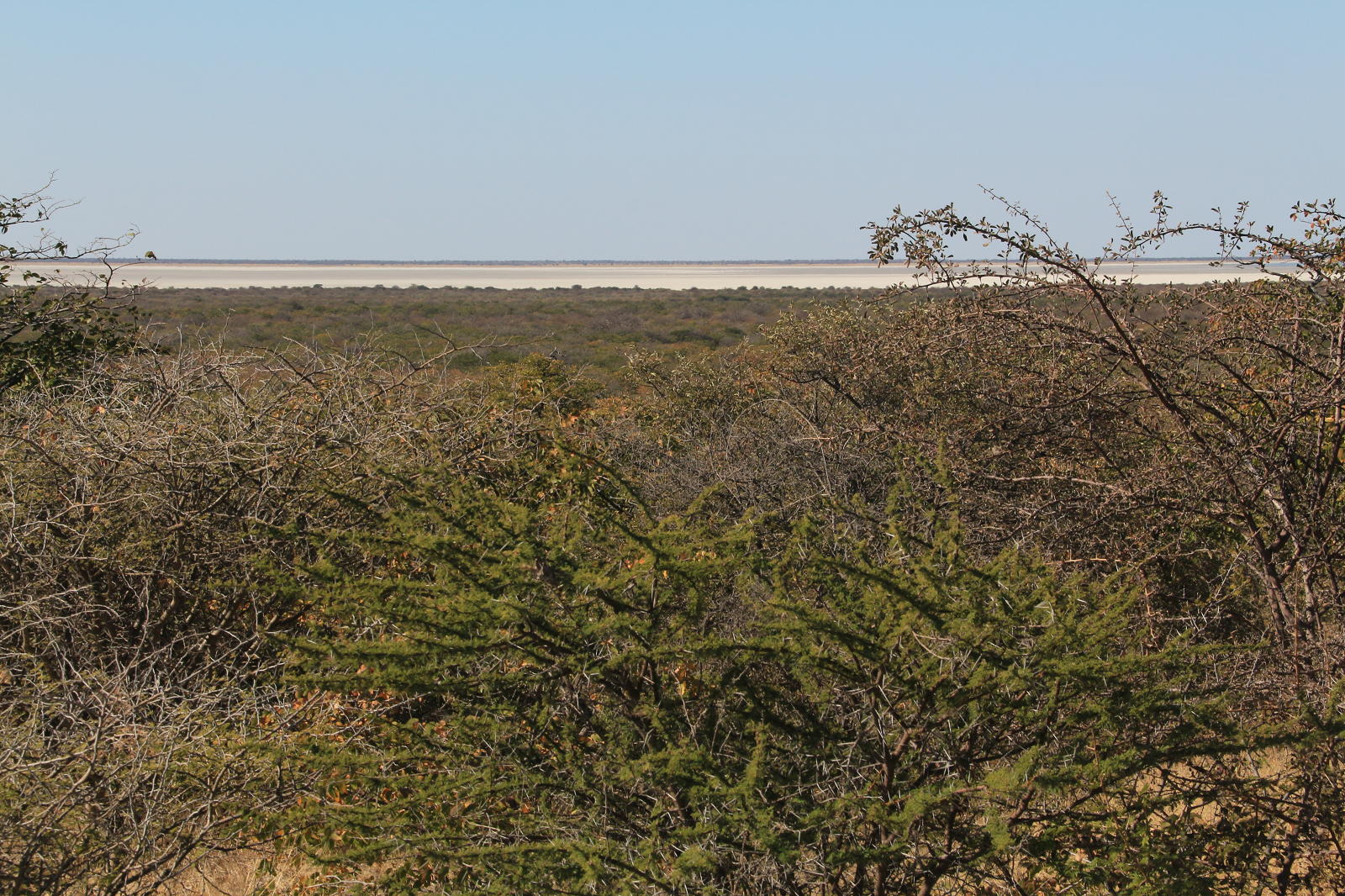 First view of the salt pans
