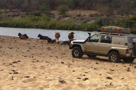 Local wildlife.jpg