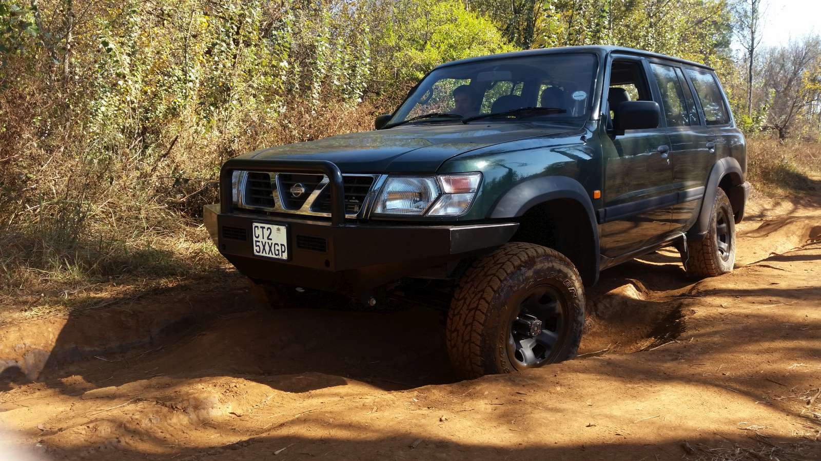 flexing its legs for the first time
