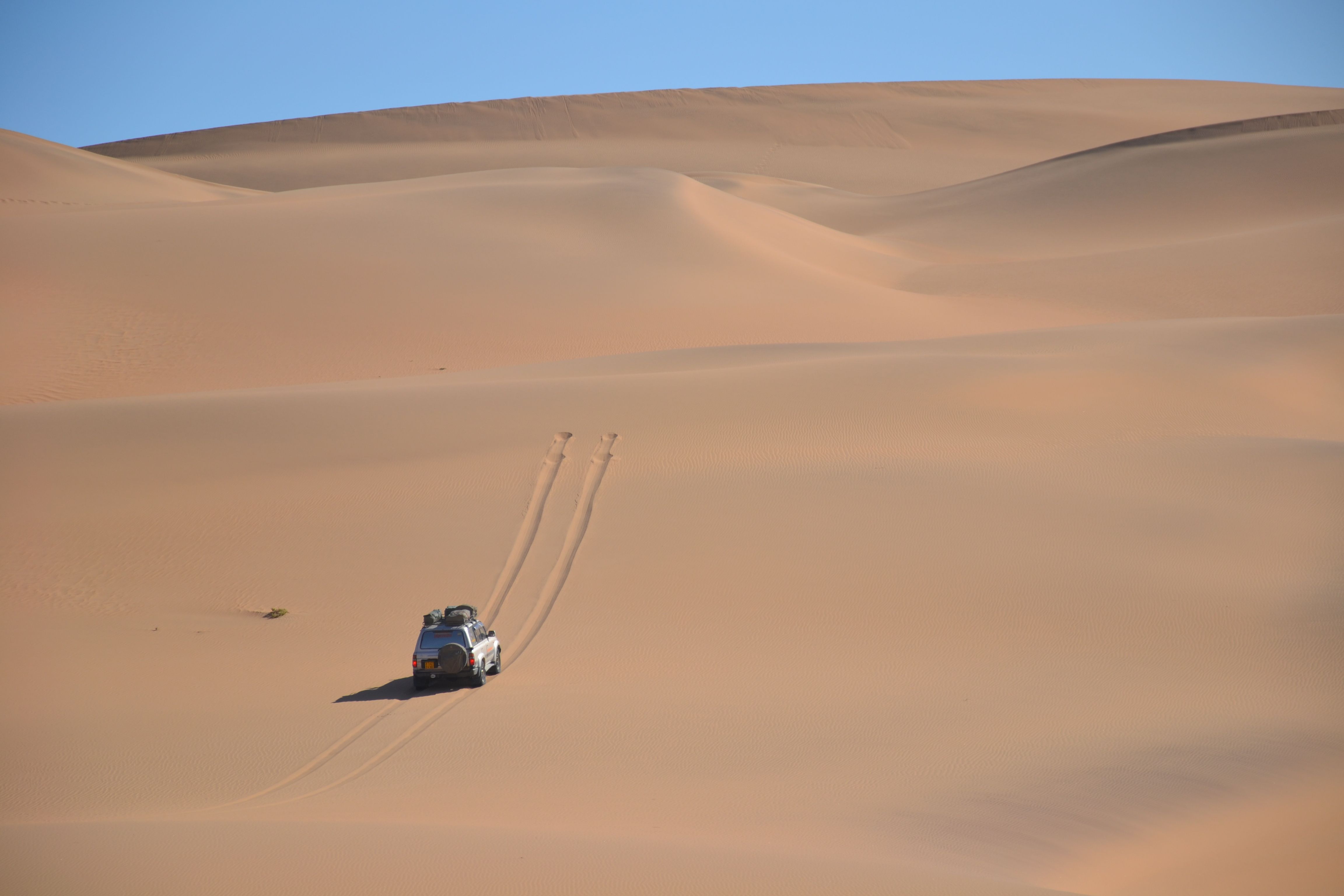 DSC_0516.jpg