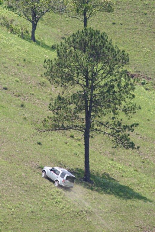 Lone tree hill Disco